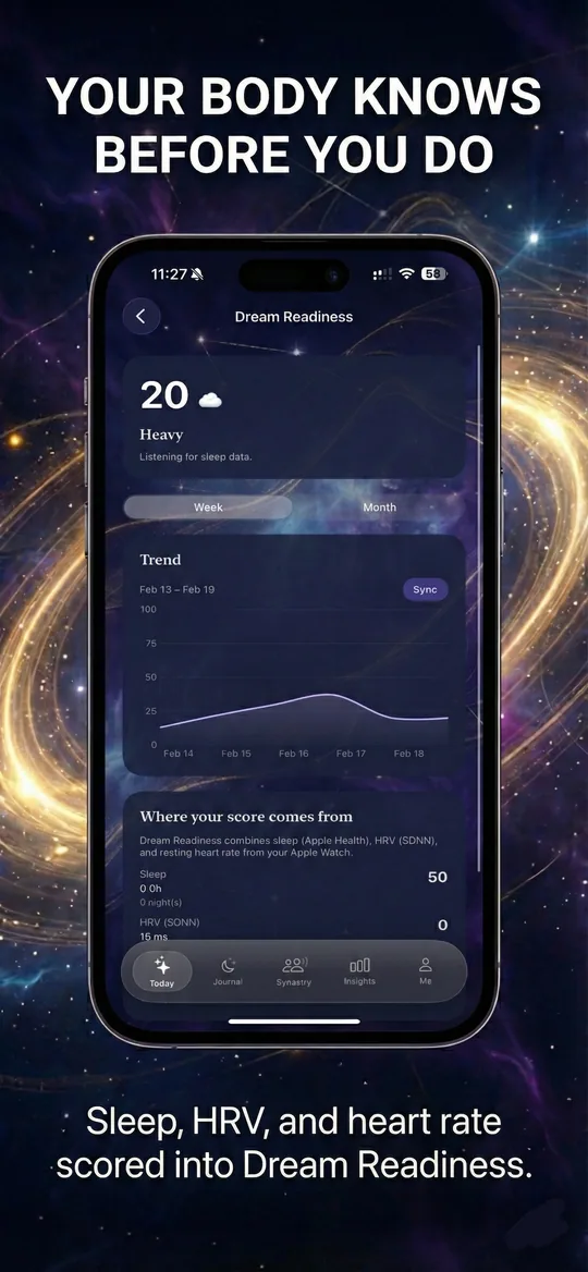 Dreamline Body Readiness